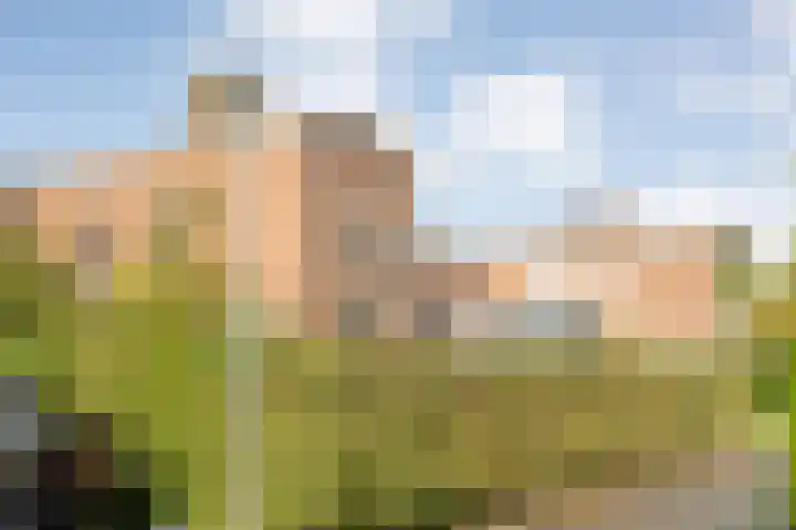 Ten Oeverstraat 106 Zwolle thumbnail 34