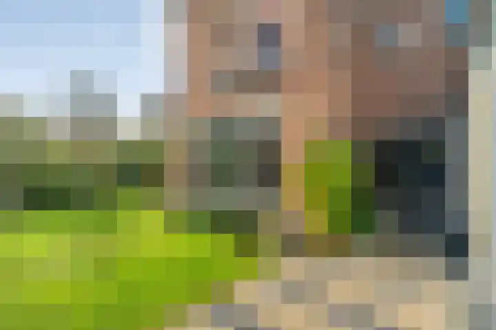 Ten Oeverstraat 106 Zwolle thumbnail 4