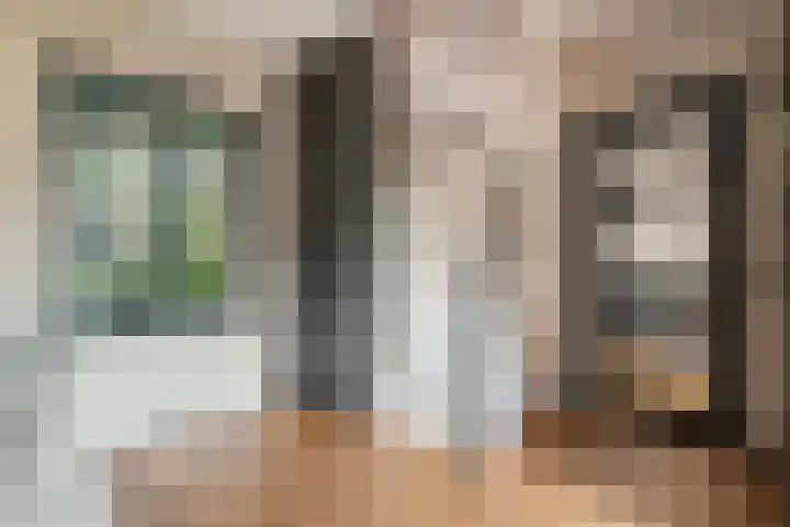Ten Oeverstraat 106 Zwolle thumbnail 6