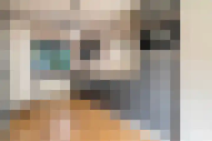 Ten Oeverstraat 106 Zwolle thumbnail 7