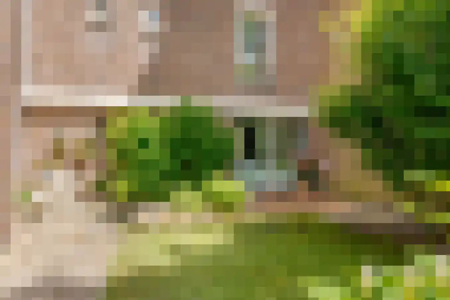 Ten Oeverstraat 128 Zwolle thumbnail 29