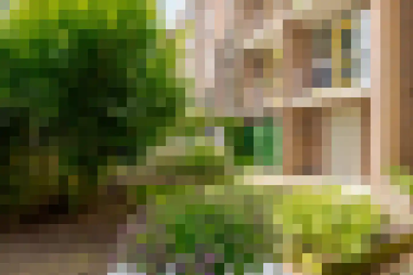 Ten Oeverstraat 128 Zwolle thumbnail 30
