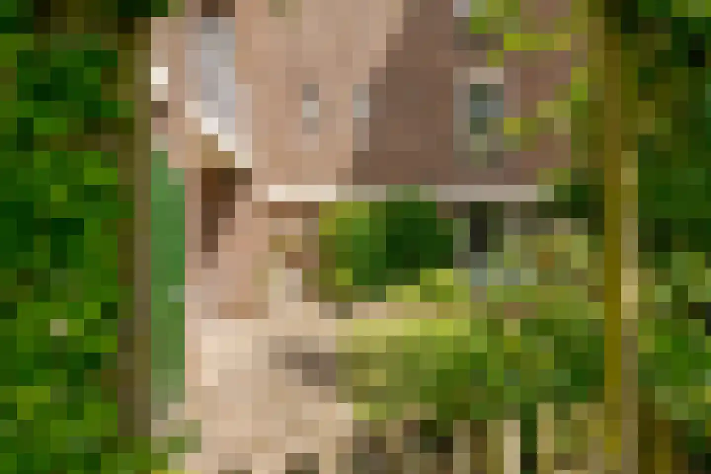 Ten Oeverstraat 128 Zwolle thumbnail 4