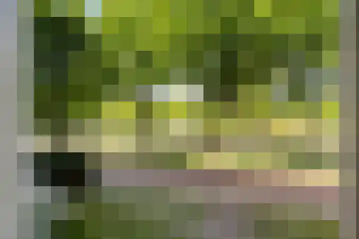 Ten Oeverstraat 130 Zwolle thumbnail 6