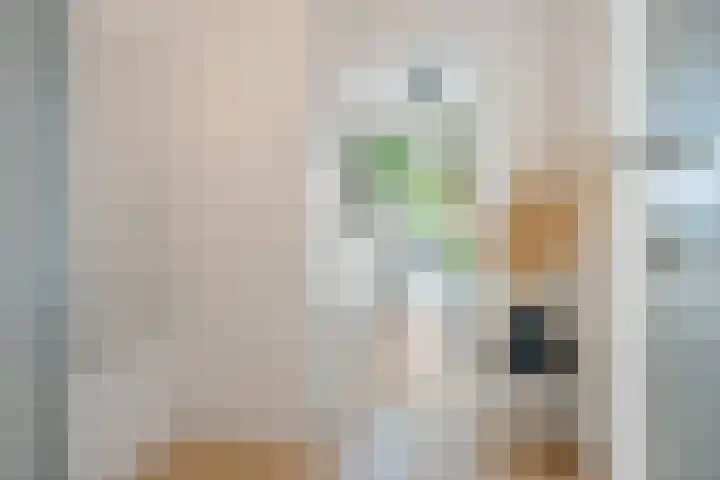 Ten Oeverstraat 130 Zwolle thumbnail 9