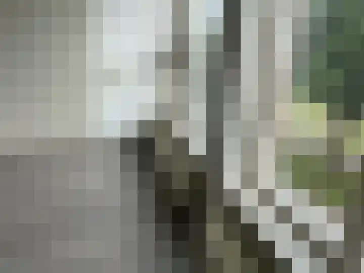 Ten Oeverstraat 142 Zwolle thumbnail 8