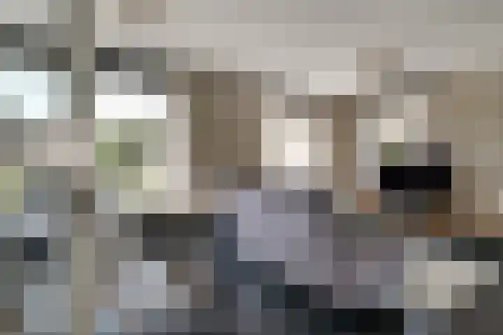 Ten Renske 31 Beek thumbnail 11