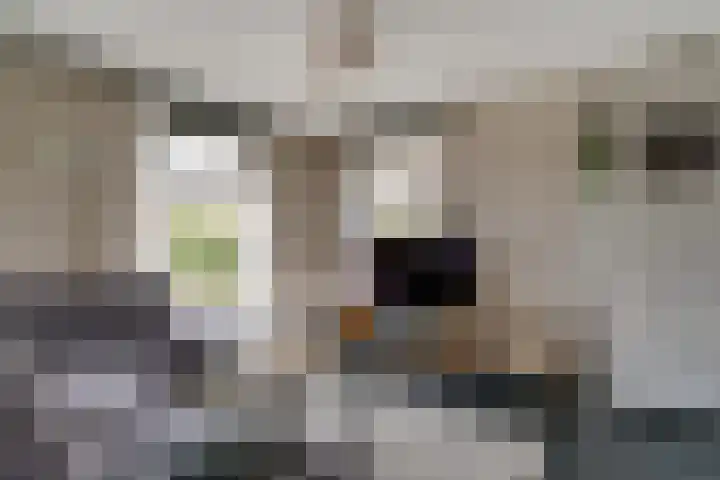 Ten Renske 31 Beek thumbnail 13