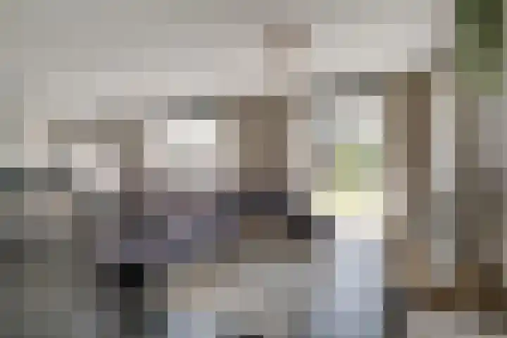 Ten Renske 31 Beek thumbnail 14