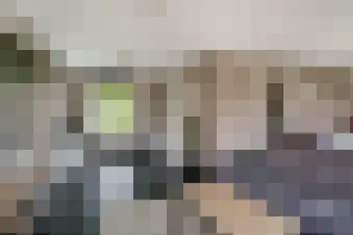 Ten Renske 31 Beek thumbnail 15