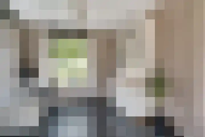 Ten Renske 31 Beek thumbnail 16