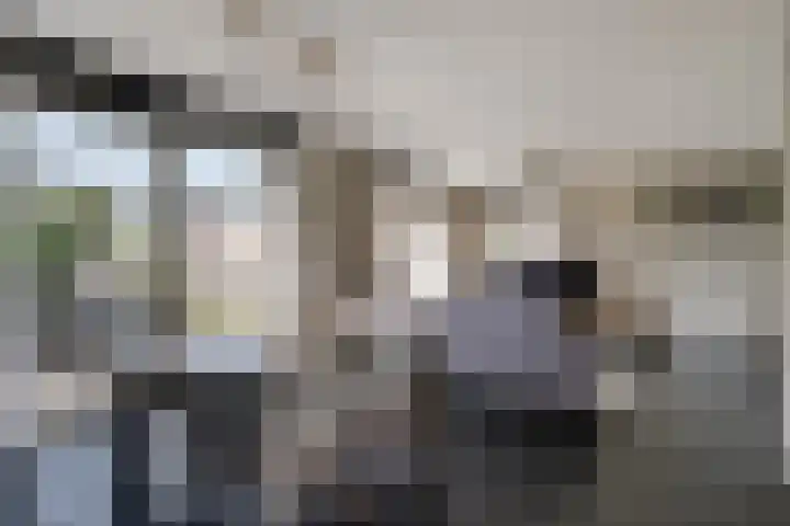 Ten Renske 31 Beek thumbnail 18