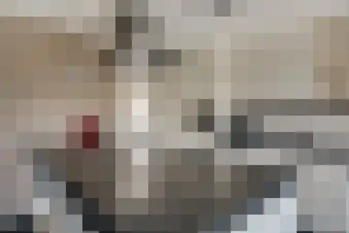 Ten Renske 31 Beek thumbnail 20