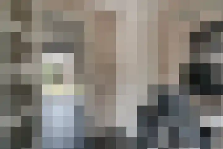 Ten Renske 31 Beek thumbnail 27