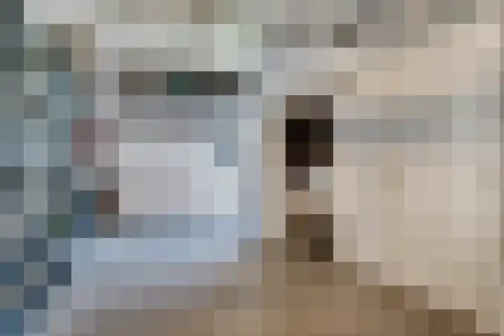 Ten Renske 31 Beek thumbnail 32