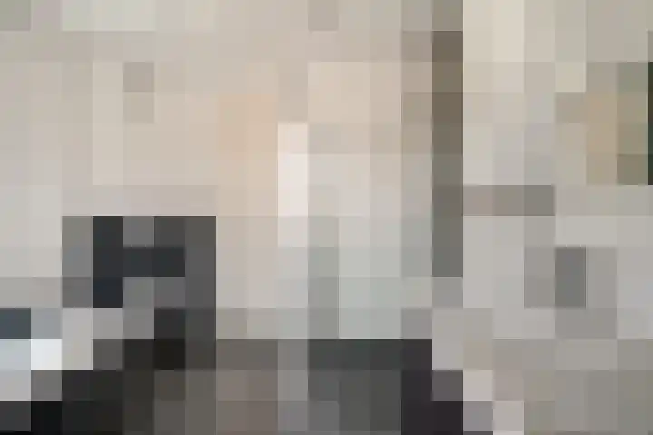 Ten Renske 31 Beek thumbnail 42