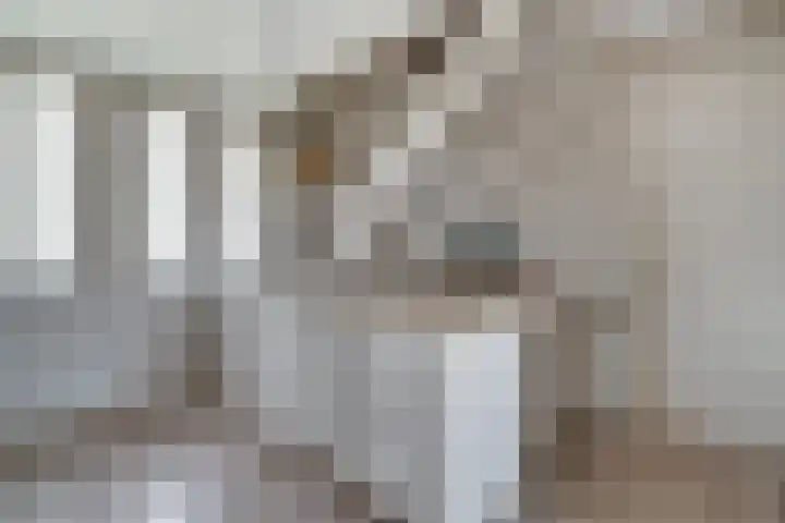 Ten Renske 31 Beek thumbnail 51