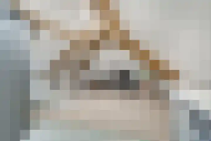 Ten Renske 31 Beek thumbnail 56