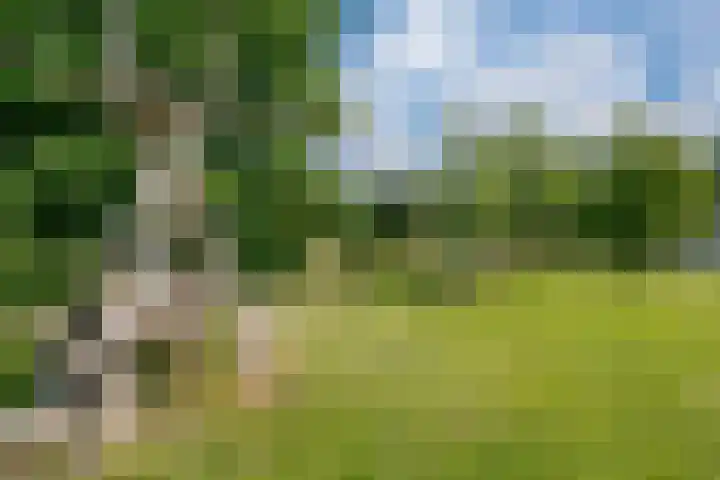Ten Renske 31 Beek thumbnail 59