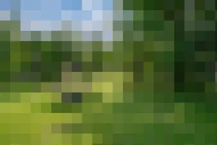 Ten Renske 31 Beek thumbnail 60