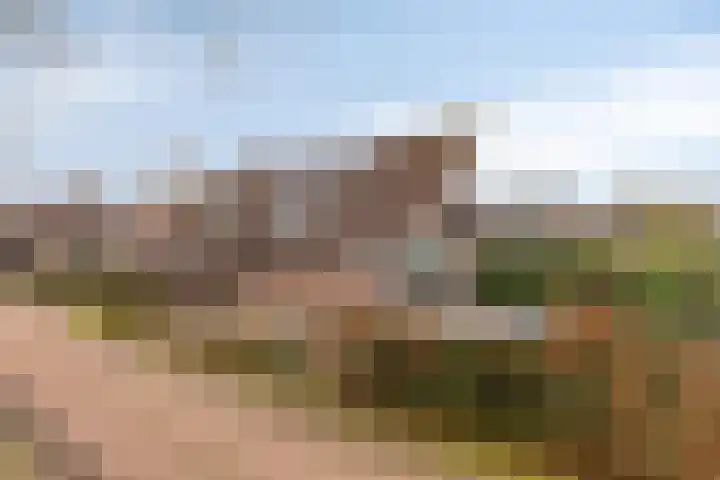 Ten Sneppenscoet 5 Helmond thumbnail 12