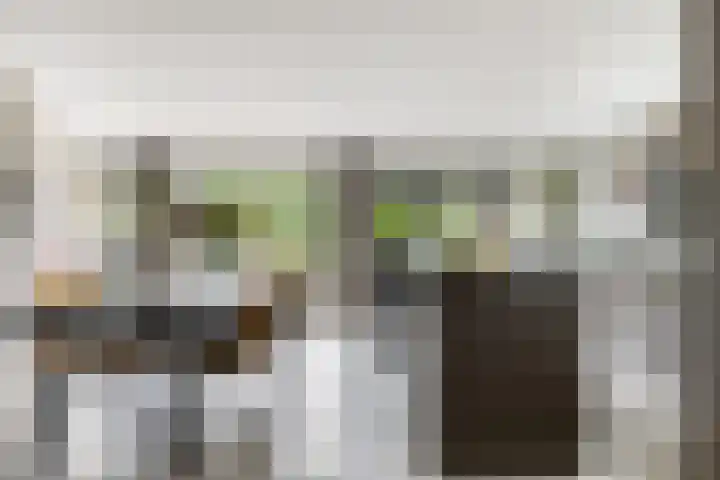 Ten Sneppenscoet 5 Helmond thumbnail 17