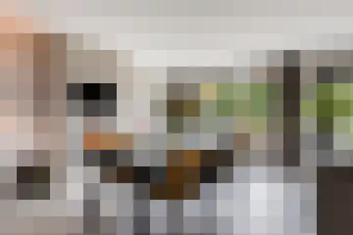 Ten Sneppenscoet 5 Helmond thumbnail 18