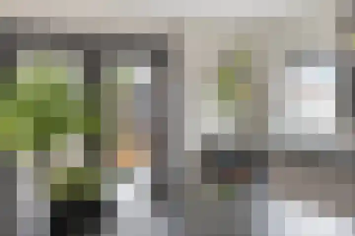 Ten Sneppenscoet 5 Helmond thumbnail 22