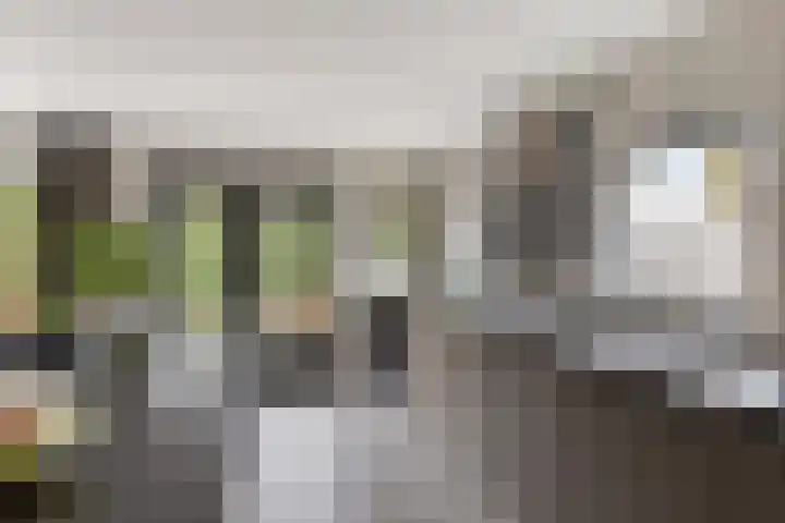 Ten Sneppenscoet 5 Helmond thumbnail 24