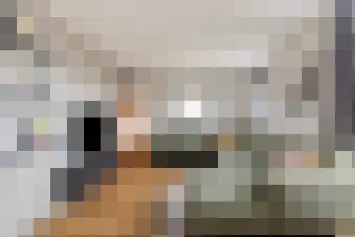 Ten Sneppenscoet 5 Helmond thumbnail 27