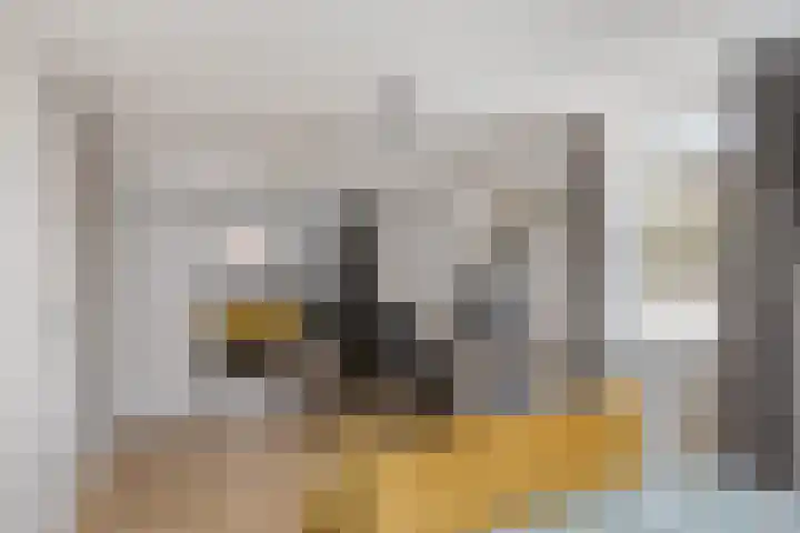 Ten Sneppenscoet 5 Helmond thumbnail 35