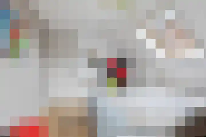 Ten Sneppenscoet 5 Helmond thumbnail 37