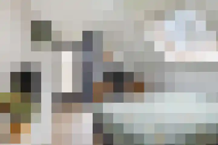 Ten Sneppenscoet 5 Helmond thumbnail 38