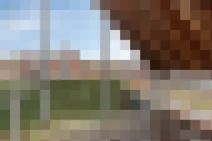 Ten Sneppenscoet 5 Helmond thumbnail 39