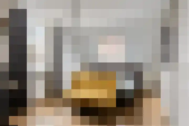 Ten Sneppenscoet 5 Helmond thumbnail 4