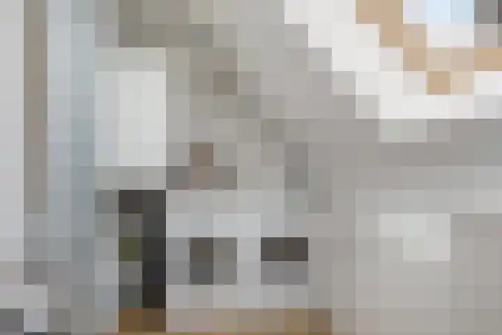 Ten Sneppenscoet 5 Helmond thumbnail 41
