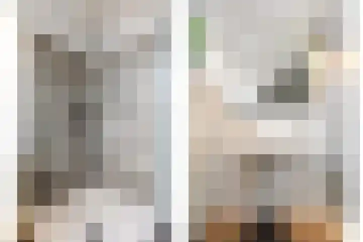 Ten Sneppenscoet 5 Helmond thumbnail 45