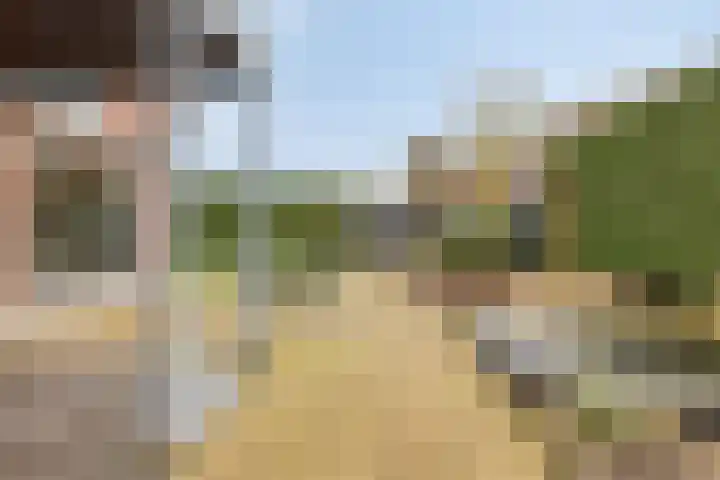 Ten Sneppenscoet 5 Helmond thumbnail 48