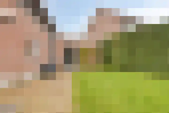 Ten Sneppenscoet 5 Helmond thumbnail 49