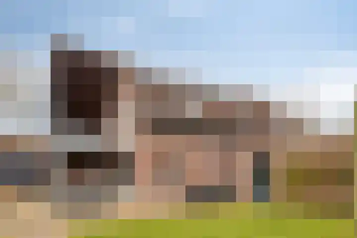 Ten Sneppenscoet 5 Helmond thumbnail 52