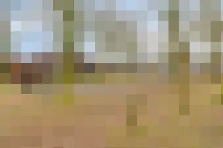 Ten Sneppenscoet 5 Helmond thumbnail 54