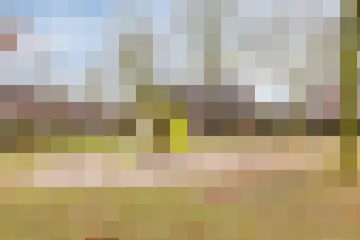 Ten Sneppenscoet 5 Helmond thumbnail 55