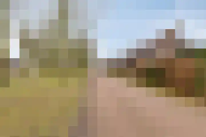 Ten Sneppenscoet 5 Helmond thumbnail 9