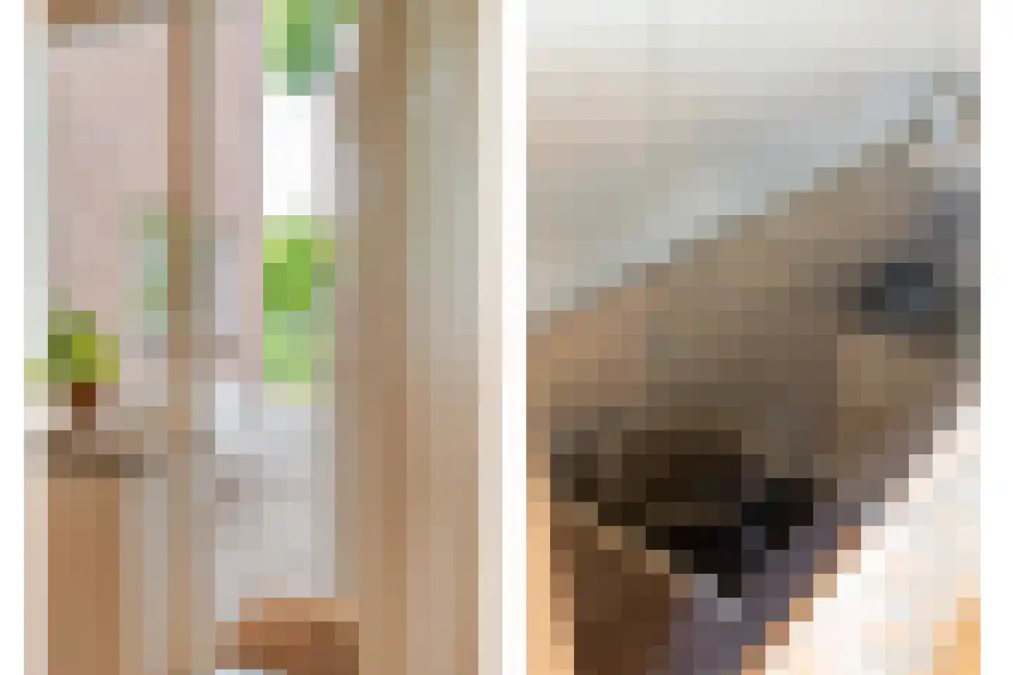 Ten Utlodreef 12 Zuidwolde thumbnail 23