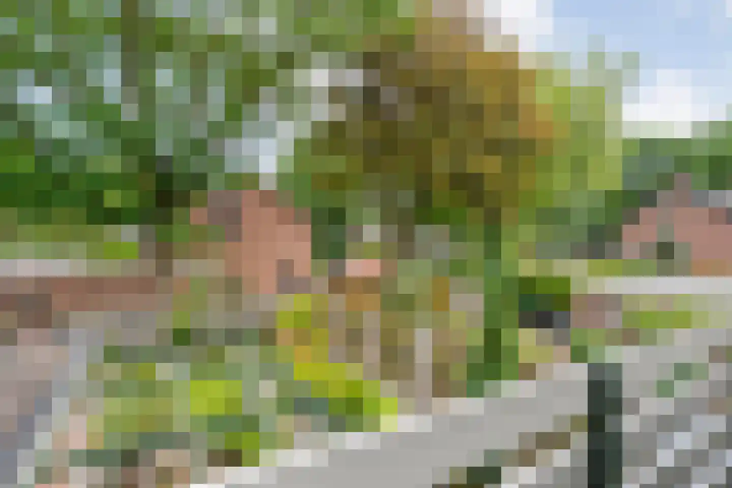 Ten Utlodreef 12 Zuidwolde thumbnail 38