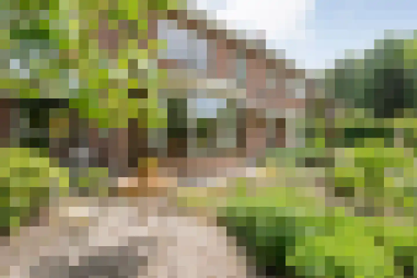 Ten Utlodreef 12 Zuidwolde thumbnail 51