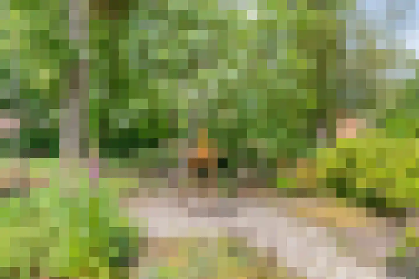 Ten Utlodreef 12 Zuidwolde thumbnail 52
