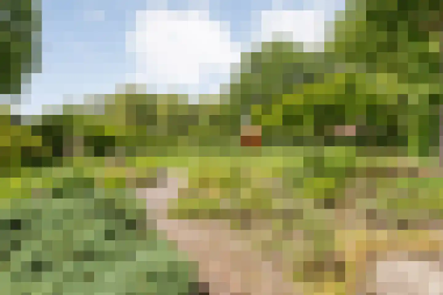 Ten Utlodreef 12 Zuidwolde thumbnail 54