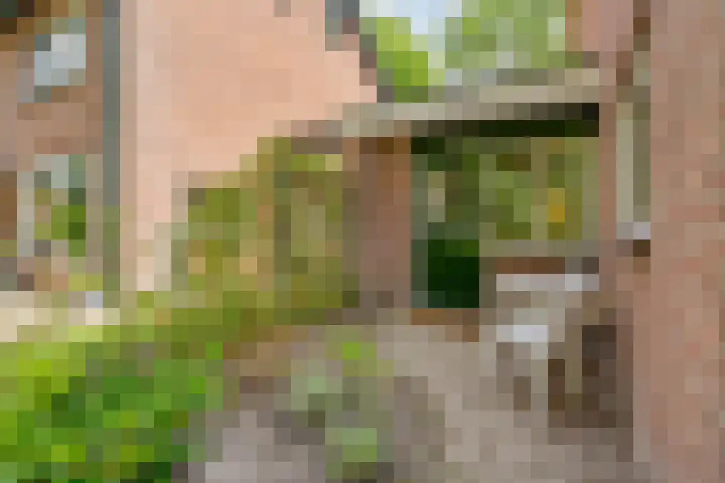 Ten Utlodreef 12 Zuidwolde thumbnail 55