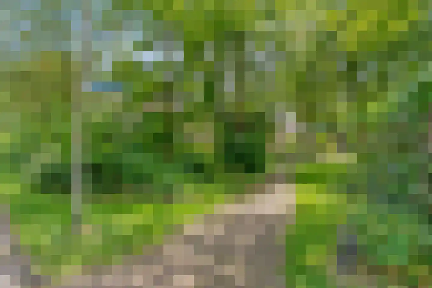 Ten Utlodreef 12 Zuidwolde thumbnail 57